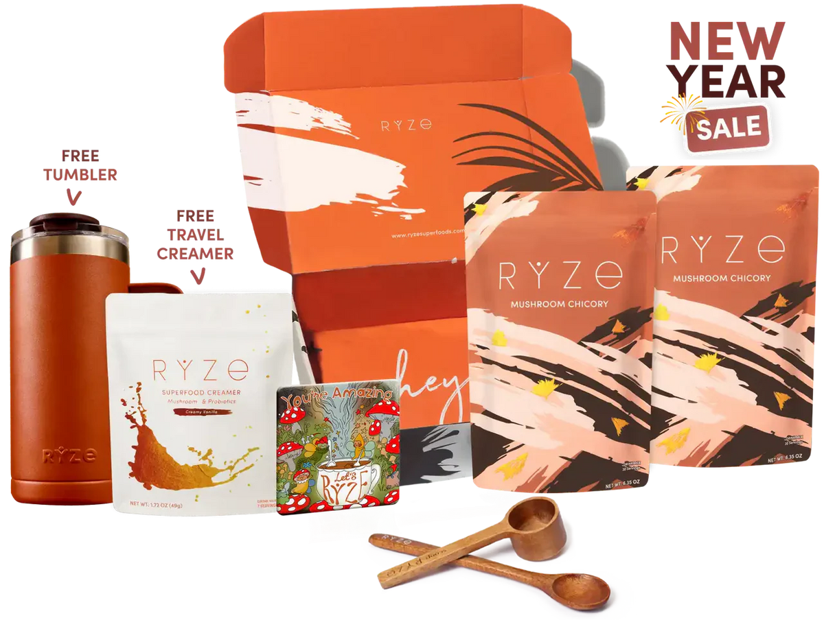 Starter Kit Clean XSAB